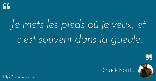 Citation Chuck Norris